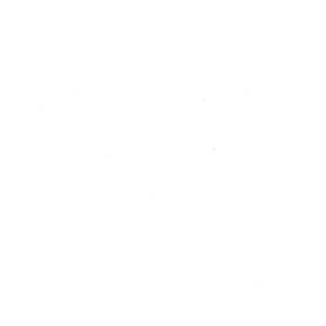 Octus Consultation